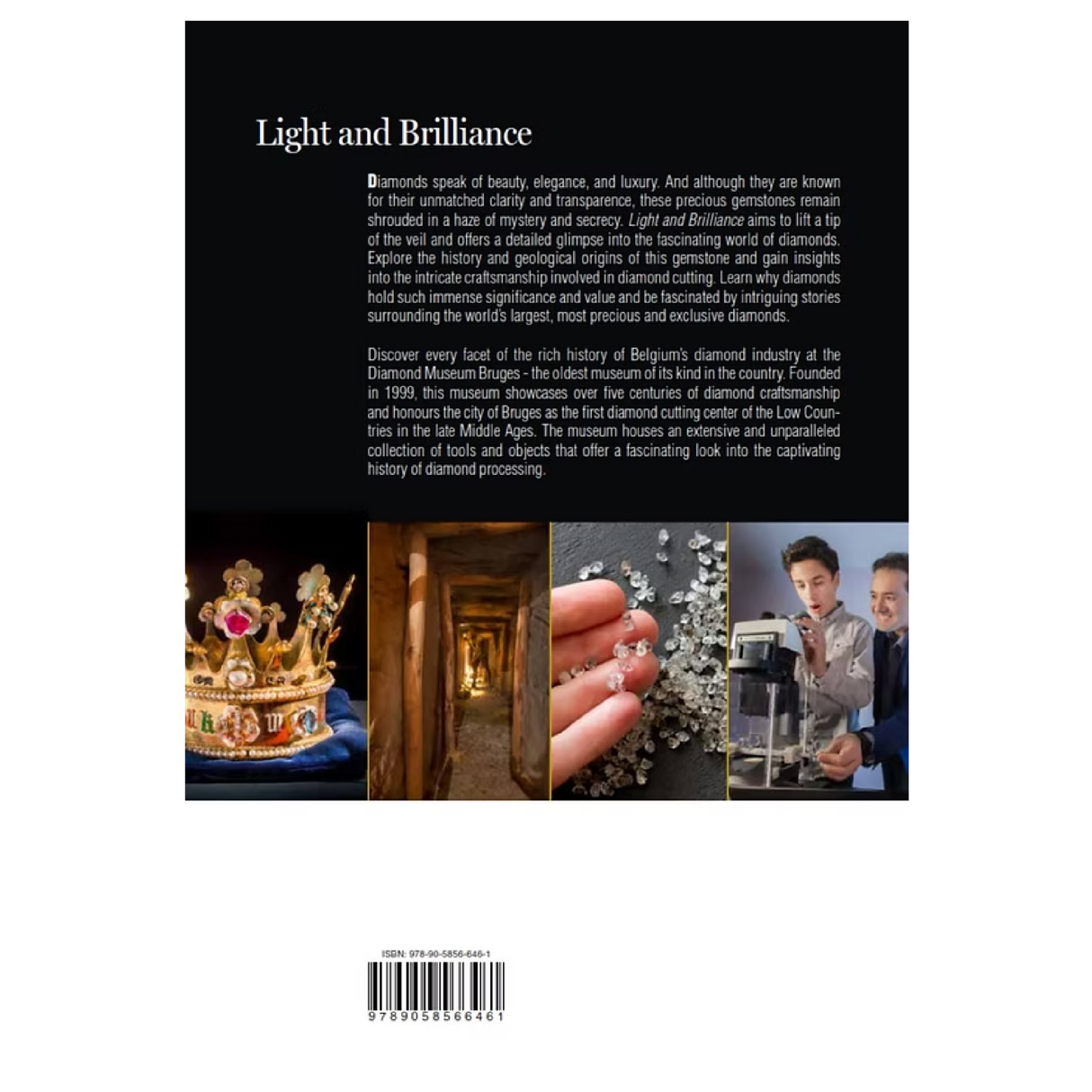 Light & Brilliance - Diamond Museum Bruges - English, Dutch & French