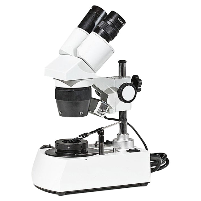 Economic Microscope