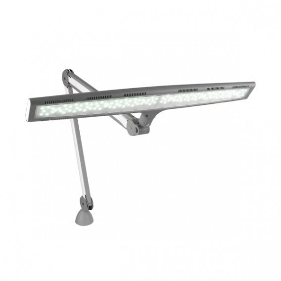 Lamp with LED Lamps